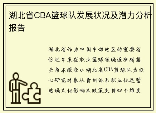 湖北省CBA篮球队发展状况及潜力分析报告