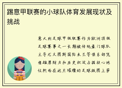 踢意甲联赛的小球队体育发展现状及挑战